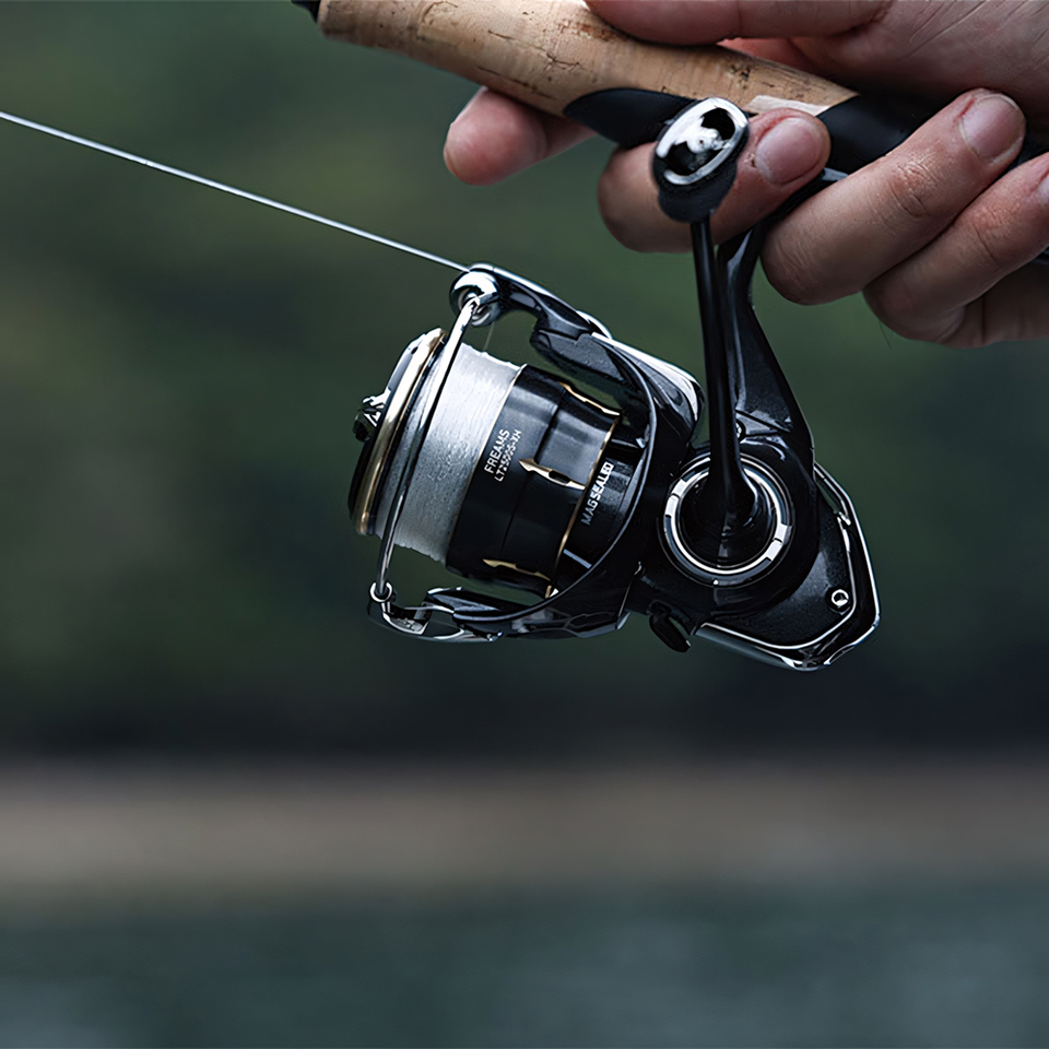 DAIWA 2026 FREAMS Spinning Ree - đánh giá và giá Shimano Reel Stradic